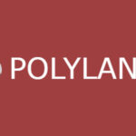 Polylang Pro – Multilingual WordPress Plugin